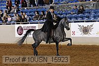 10usn_15923 proof