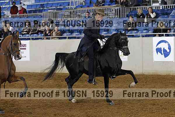 Proof 10usn_15929
