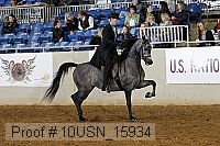 10usn_15934 proof