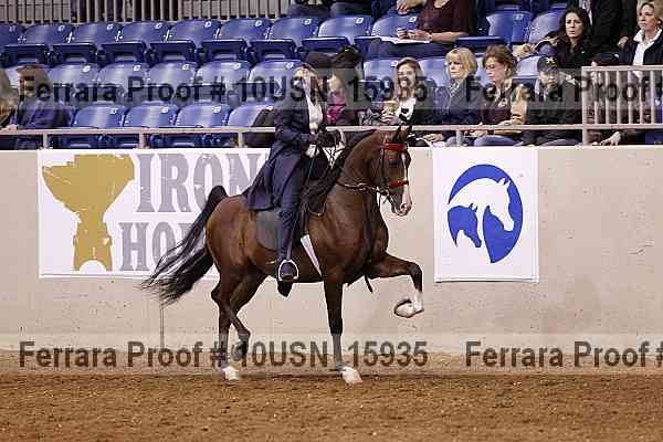 Proof 10usn_15935
