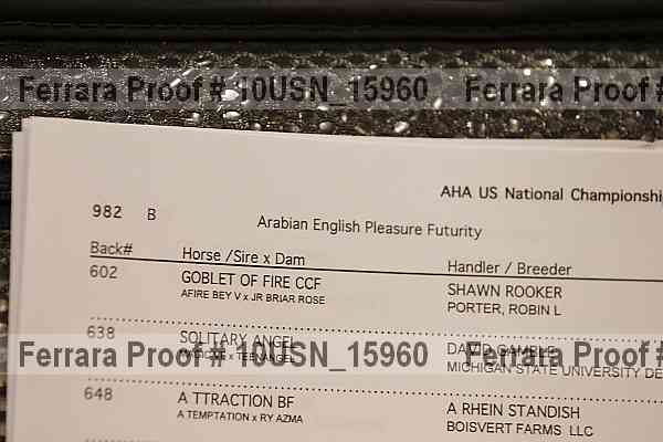 Proof 10usn_15960