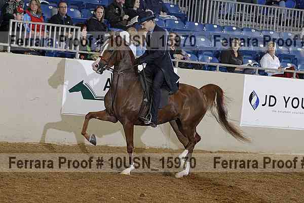 Proof 10usn_15970