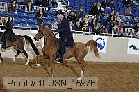 10usn_15976 proof