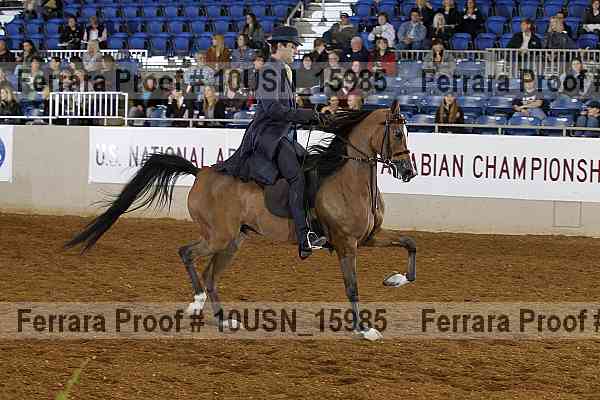 Proof 10usn_15985