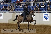 10usn_16001 proof