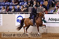 10usn_16008 proof