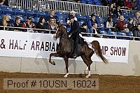 10usn_16024 proof