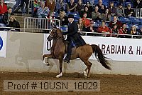 10usn_16029 proof