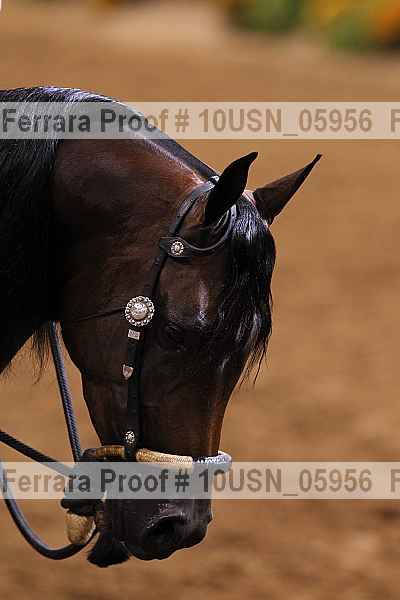 Proof 10usn_05956