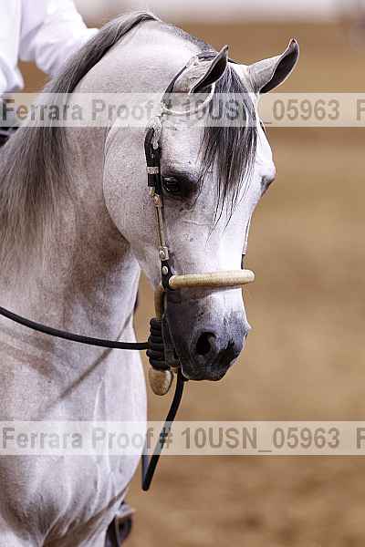 Proof 10usn_05963