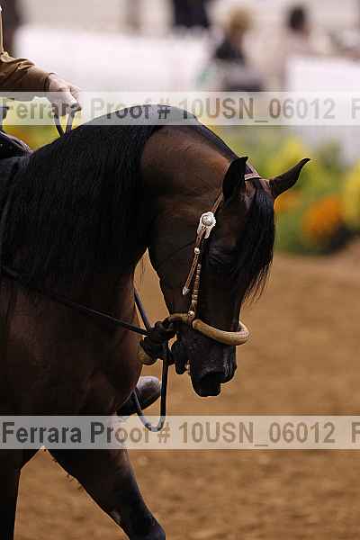 Proof 10usn_06012