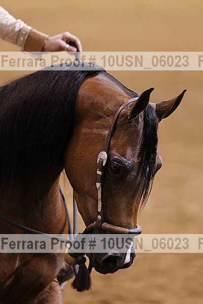 Proof 10usn_06023