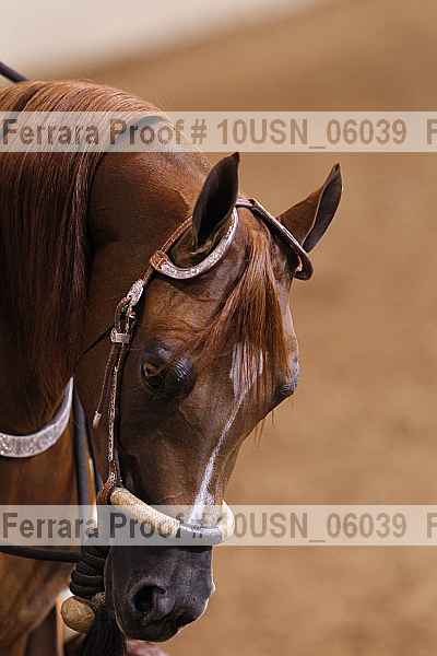 Proof 10usn_06039