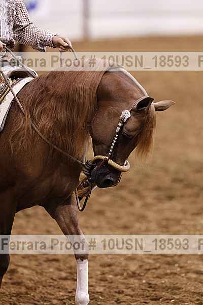 Proof 10usn_18593