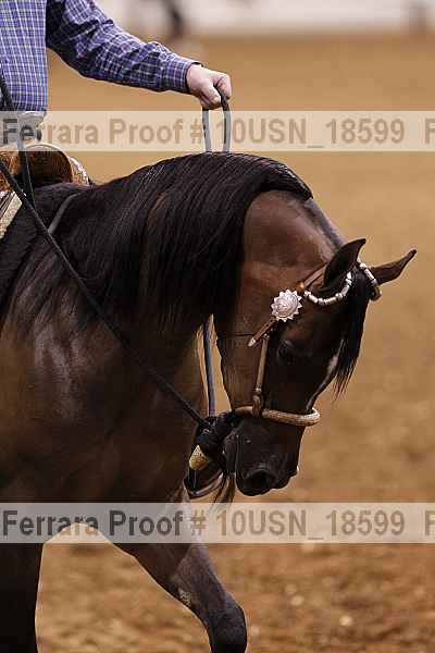 Proof 10usn_18599