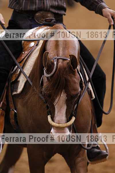 Proof 10usn_18613