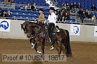 10usn_18617 proof