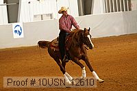 10usn_12610 proof