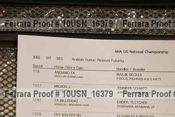 Proof 10usn_16379