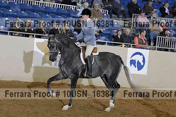 Proof 10usn_16384