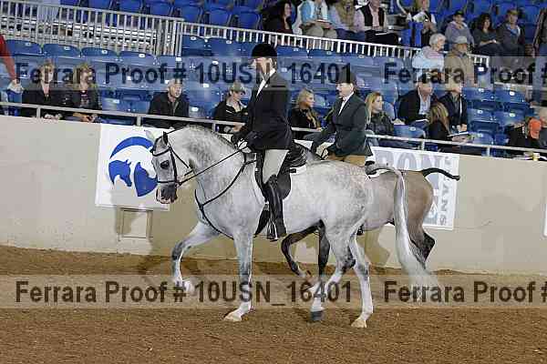 Proof 10usn_16401