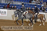 10usn_16403 proof