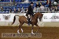 10usn_16433 proof