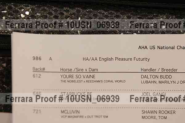 Proof 10usn_06939