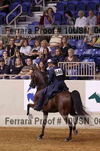 Proof 10usn_06941