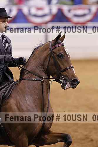Proof 10usn_06945
