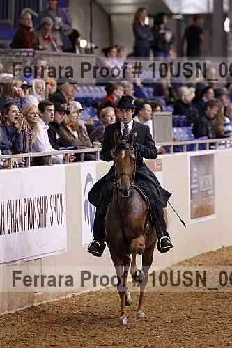 Proof 10usn_06950