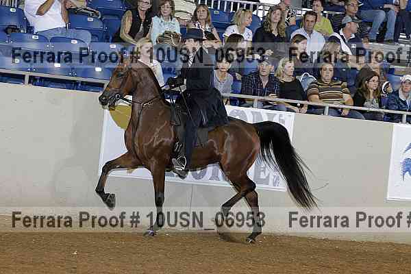 Proof 10usn_06953