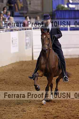 Proof 10usn_06954