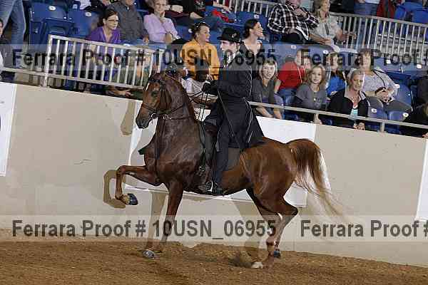 Proof 10usn_06955