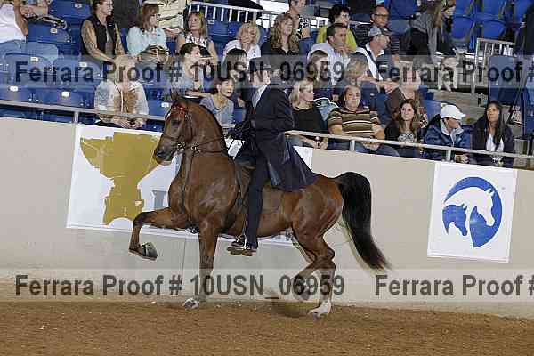 Proof 10usn_06959