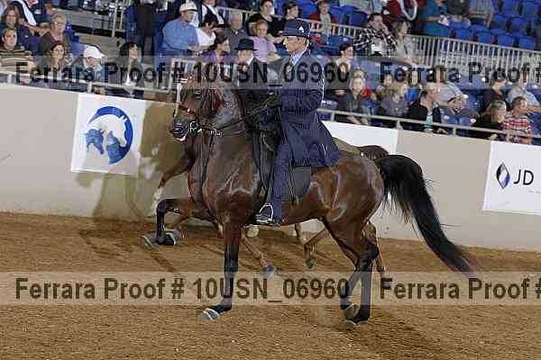 Proof 10usn_06960