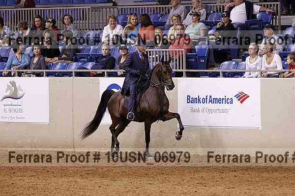 Proof 10usn_06979