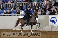 10usn_06992 proof