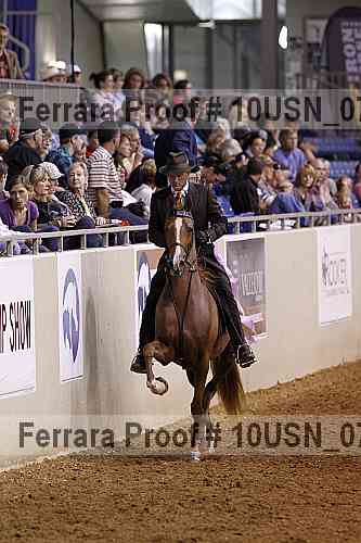 Proof 10usn_07010