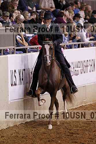 Proof 10usn_07015