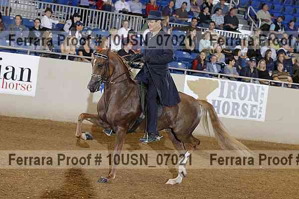 Proof 10usn_07021
