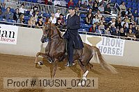 10usn_07021 proof