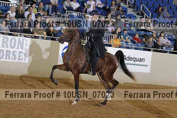 Proof 10usn_07023
