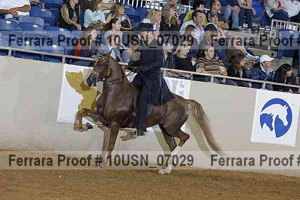 Proof 10usn_07029