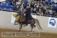 10usn_07029 proof