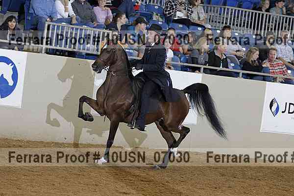 Proof 10usn_07030
