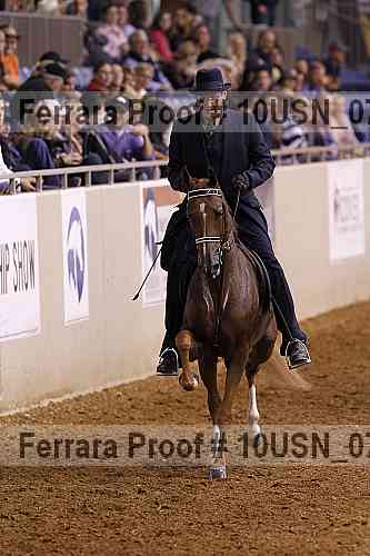 Proof 10usn_07066