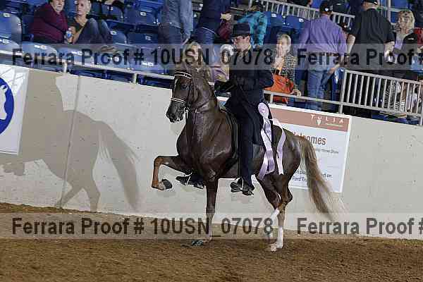 Proof 10usn_07078