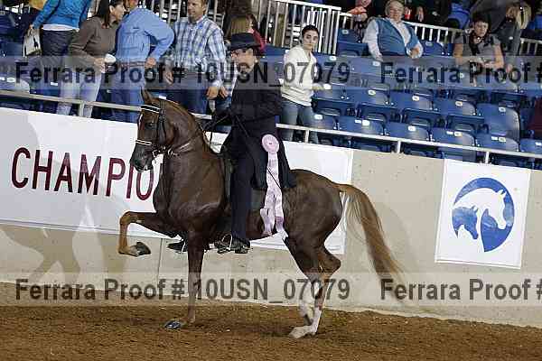 Proof 10usn_07079