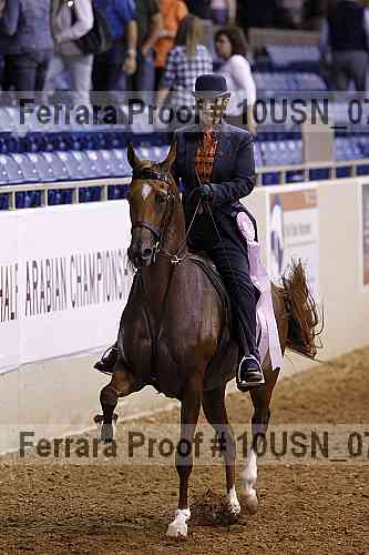 Proof 10usn_07086